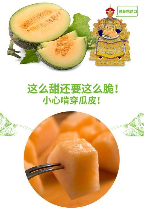 来事吃蜜瓜怎么办啊视频,甜蜜应对攻略