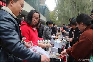 西安培华吃瓜事件视频最新,校园风波背后的真相揭秘